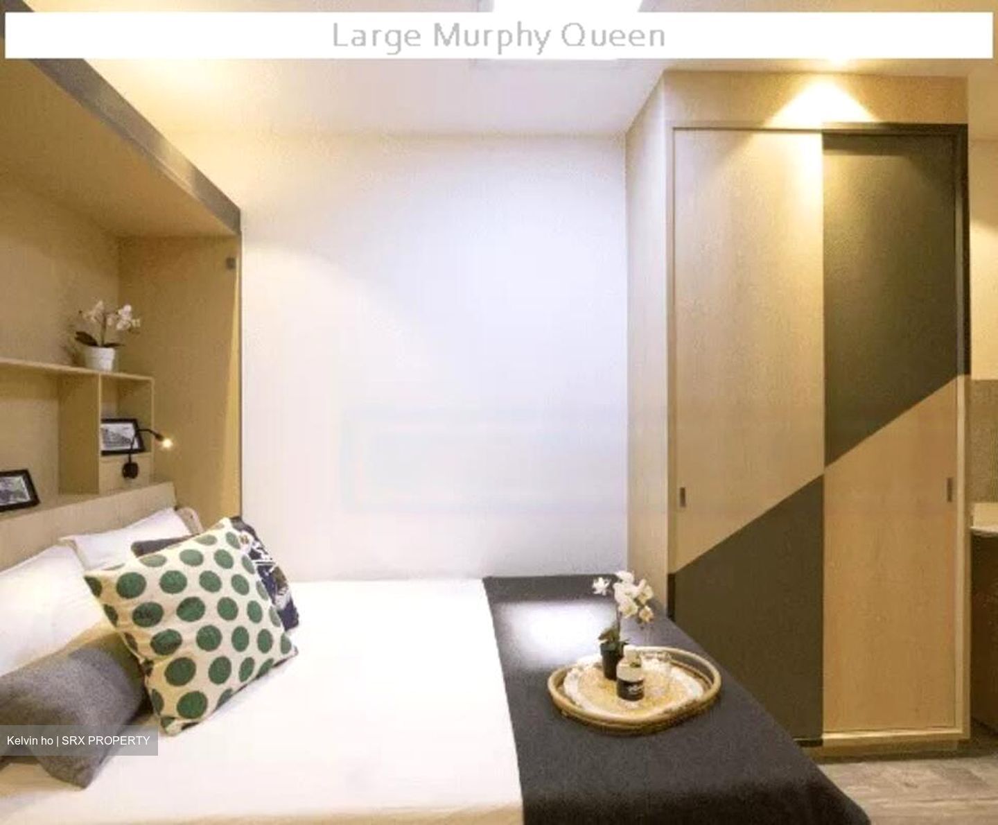 Balestier Road (D12), Apartment #468410281